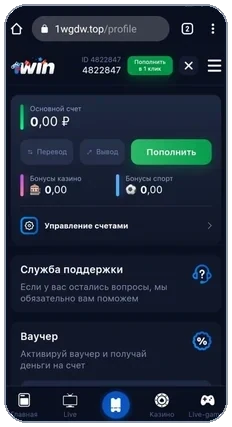 Личный кабинет 1Win — раздел вывода средств